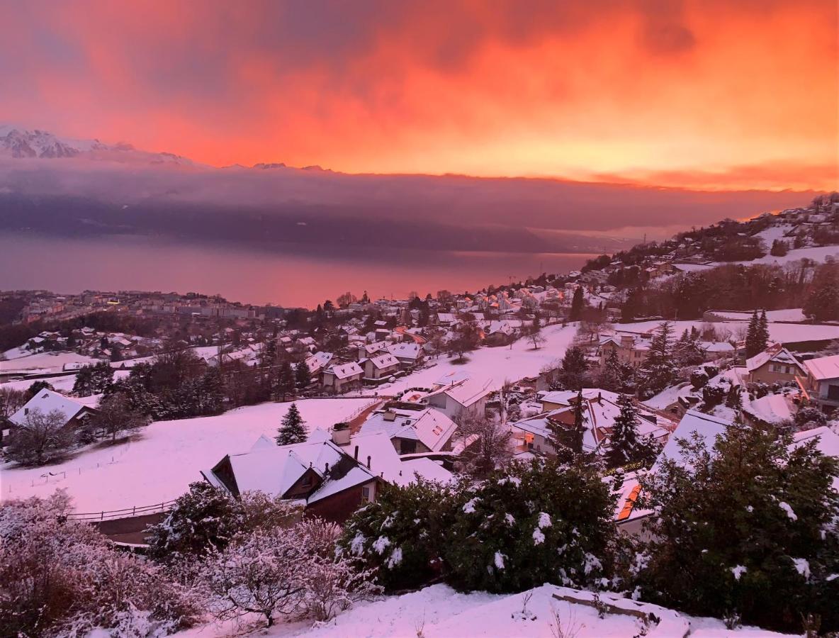 Appartement Moderne Avec Vue Panoramique A Jongny Proche De Montreux Екстериор снимка