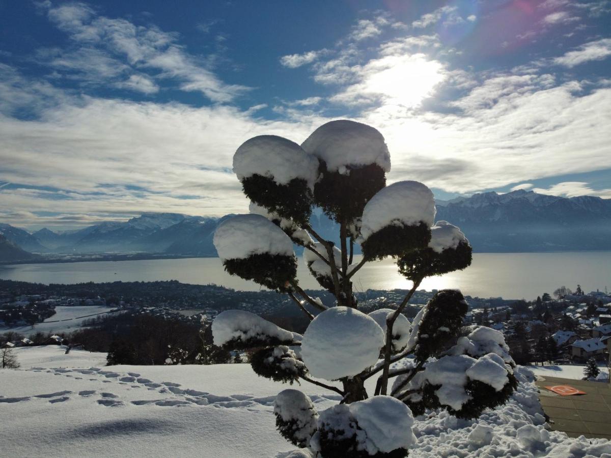Appartement Moderne Avec Vue Panoramique A Jongny Proche De Montreux Екстериор снимка